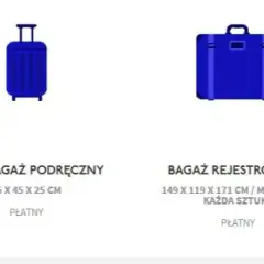 Ile kosztuje bagaż rejestrowany w Wizz Air? Sprawdź ceny i oszczędź