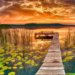 Dlaczego Mazury są najpiękniejszym miejscem na świecie - odkryj ich tajemnice