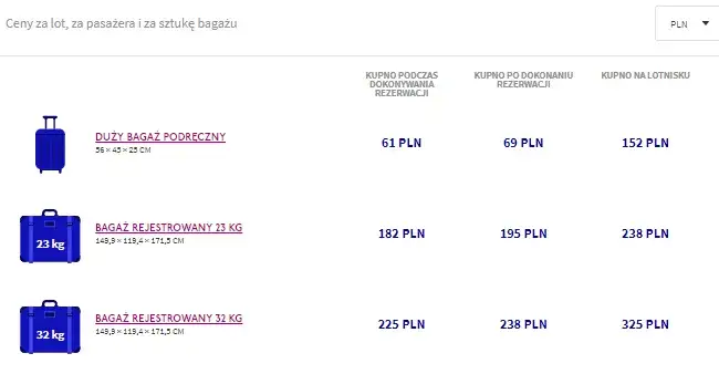 Zdjęcie Bagaż rejestrowany Wizz Air - co możesz przewozić bez problemów